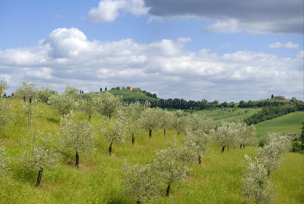 12519_14_05_2012_torrita_di_siena_tuscany_italy_toscana_italien_spring_fruehling_scenic_outlook_viewpoint_panoramic_landscape_photography_panorama_landschaft_foto_64_8706x5841